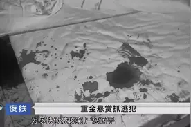 独居少妇风流成性，与别的男人同居，结果被人杀害惨死宾馆视频封面