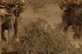 成吉思汗59：蒙古四路大军围攻撒麻耳干，花拉子模牵20头巨象作战视频封面