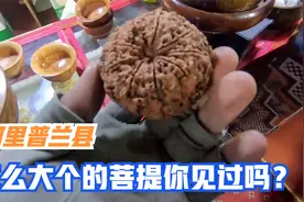 中国印度尼泊尔交界处，阿里普兰县，跟我来看看这里人们的生活。视频封面