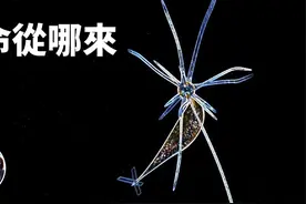 生命起源地球上的生命究竟是如何产生的视频封面