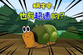 【唐唐】涨知识！被双盘吸虫控制的蜗牛，实在太惨了！视频封面