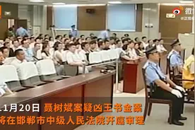 王书金案明天将再审开庭，律师：他希望还聂树斌彻底清白视频封面