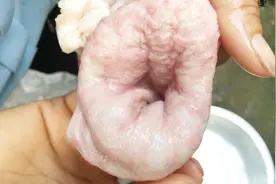 买猪鞭和猪屎肚包吃，听说吃了比较补，不给孩子吃了视频封面