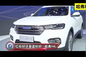 哈弗H6买红标好还是蓝标好？视频封面