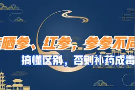 生晒参补气，红参偏于益气摄血，注意这些事项，用混成毒药视频封面