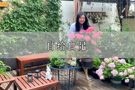 北京姑娘改造小院 这样过上自给自足的生活