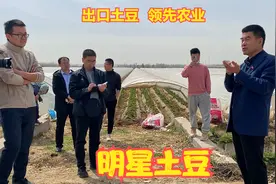 山东胶州：小土豆种出大名堂，农民赚钱盖楼房，漂洋过海闯四方视频封面