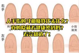 人手指的斗和簸箕代表什么？真的隐藏着健康密码吗？看完知道了！视频封面