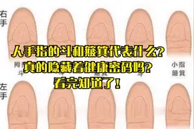 人手指的斗和簸箕代表什么？真的隐藏着健康密码吗？看完知道了！视频封面