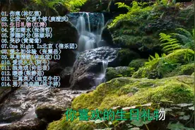 经典流行歌曲500首 《伤痕》《生日礼物》《梦醒时分》《哭砂》视频封面