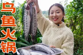 小雨逛菜市场，买十斤乌鱼，回去烫个火锅鱼吃，鲜嫩可口真过瘾视频封面