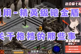 《暗黑破坏神2》通用-精英级暗金盾，关于格挡的那些事。视频封面