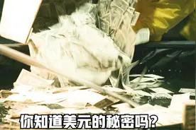 世界通用货币美元的独特之处！视频封面
