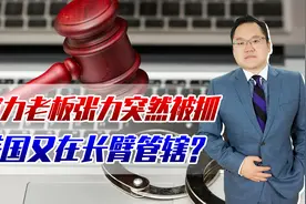 富力老板张力突然被抓，美国又在长臂管辖？国内灰色国外就是违法视频封面