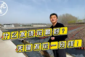 有一种水浇花最好！关键不花一分钱！养花必懂小知识视频封面