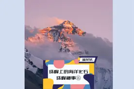 珠穆朗玛峰上的15件不为人知的事情 第七集 珠峰上的海洋化石视频封面