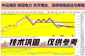 中远海控 桂冠电力 天齐锂业，涨停低吸战法与单阳不破详解