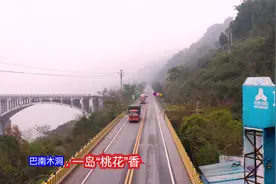 一岛“桃花”飘香！巴南木洞桃花岛.不日将芳菲四季美好时光...视频封面