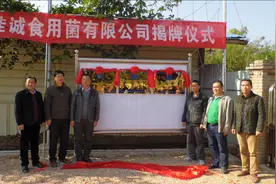 嘉应学院·广东佳诚食用菌有限公司产学研合作揭牌视频封面