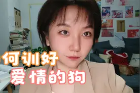 训练好你爱情的狗，话糙理不糙，训练你对象和训练狗是一个道理视频封面