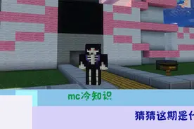 我的世界：神奇的藤蔓！