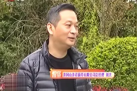 神奇菌草一身都是宝，房地产老板看好它，不顾家族反对转行种菌草视频封面