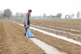 农村小伙学到浇水新方法，提起袋子就往地里跑，结果会怎样？视频封面
