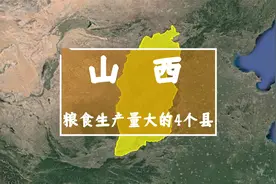 山西4个产粮大县，担起了国家粮食安全重任，其中有你的家乡吗？视频封面