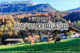 路过韩剧《爱的迫降》取景地No1：瑞士湖滨小镇伊瑟尔特瓦尔德视频封面