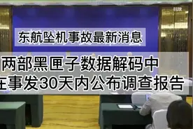 东航坠机两部黑匣子数据解码中，事发30天内公布调查报告视频封面