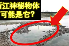 浙江嘉兴上空掉下不明“黑色”物体，为何如此神秘，可能是它？视频封面