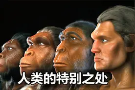 人类是高等智慧生命，有何特别之处，为什么是地球上最聪明的？