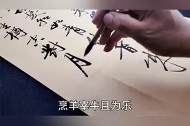君不见黄河之水天上来！绝美启功体书法，笔走龙蛇，收藏了视频封面