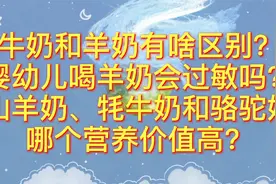 山羊奶、牛奶、骆驼奶哪个营养价值更高？饮用哪个奶不宜过敏？视频封面