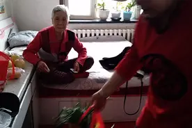 老程家小狗又下崽了，乐乐这么小能下六个小狗崽，真厉害视频封面
