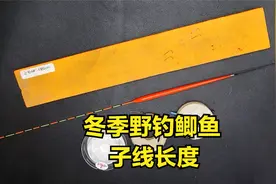 冬季野钓鲫鱼，子线长度关乎灵和钝，用多长才合适视频封面