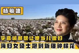 香港女企业家跑到新疆种棉花，被人称为棉花公主，爱国商人杨敏德视频封面