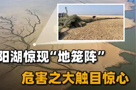 鄱阳湖干旱后，湖床上的“滚地龙”究竟是什么？危害之大触目惊心视频封面