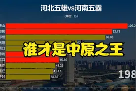 河北五雄vs河南五霸，谁才是中原之王，1979-2022年GDP一览视频封面