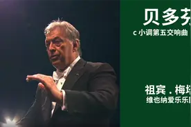 贝多芬 | c小调第五交响曲 （命运）| 指挥：梅塔.祖宾视频封面