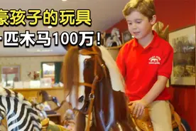 富豪孩子的玩具有多贵？一匹木马100万，一辆玩具车26万，纪录片视频封面