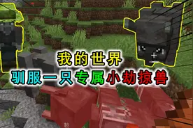 我的世界：灾厄村民还会种菜？养着一只小劫掠兽，可以被玩家驯服