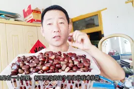 怎样去除板栗的涩皮？跟大家分享一个小妙招，拍个视频告诉你