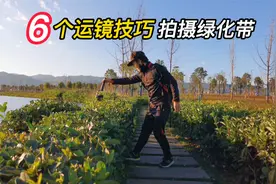 不用到处去拍美景，路边的绿化带这样拍，剪辑后也很美