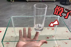 揭秘：骰子穿越玻璃杯的教学来了 这样的魔术你会喜欢吗？视频封面