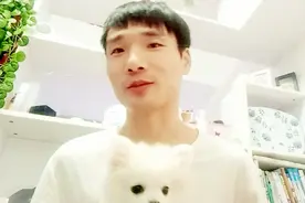 年轻帅气会计老师教大家刚学会计该考什么  还有可爱的狗狗凑热闹视频封面