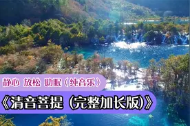 古筝纯音乐《清音菩提》完整加长版 聆听禅音，抚思绪，享受宁静视频封面