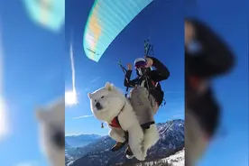 人和宠物双向治愈的画面是我们彼此温暖的存在视频封面