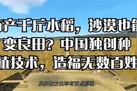 亩产千斤水稻，沙漠也能变良田？中国独创种植技术，造福无数百姓视频封面