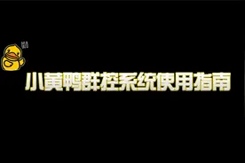 小黄鸭群控系统使用指南视频封面